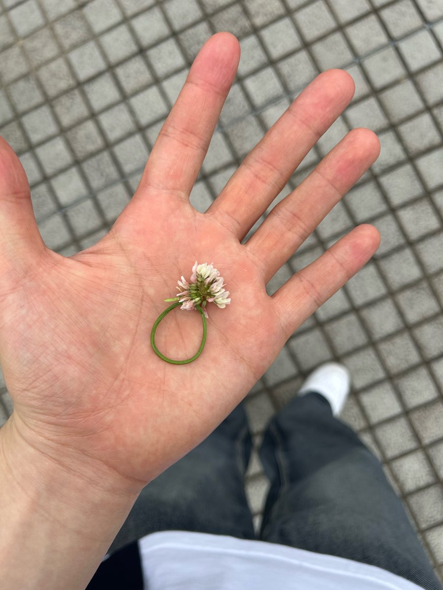 jungsuloverz's tweet photo. 손바닥도 귀여운 남자..판판해서 귀여움(?).. https://t.co/GGDMe7AwVP