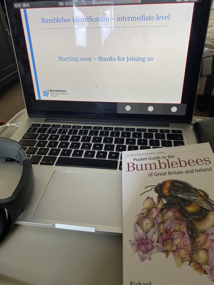 Marcus W tweet media