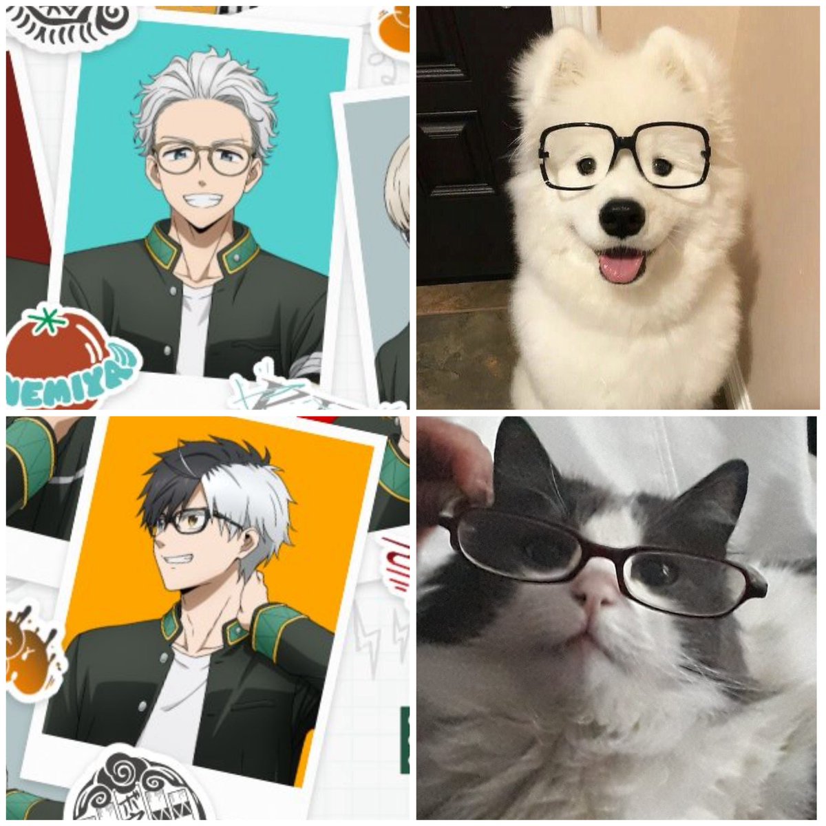 Megane umesaku, my beloved 

#umsk #うめさく 🍅🌸