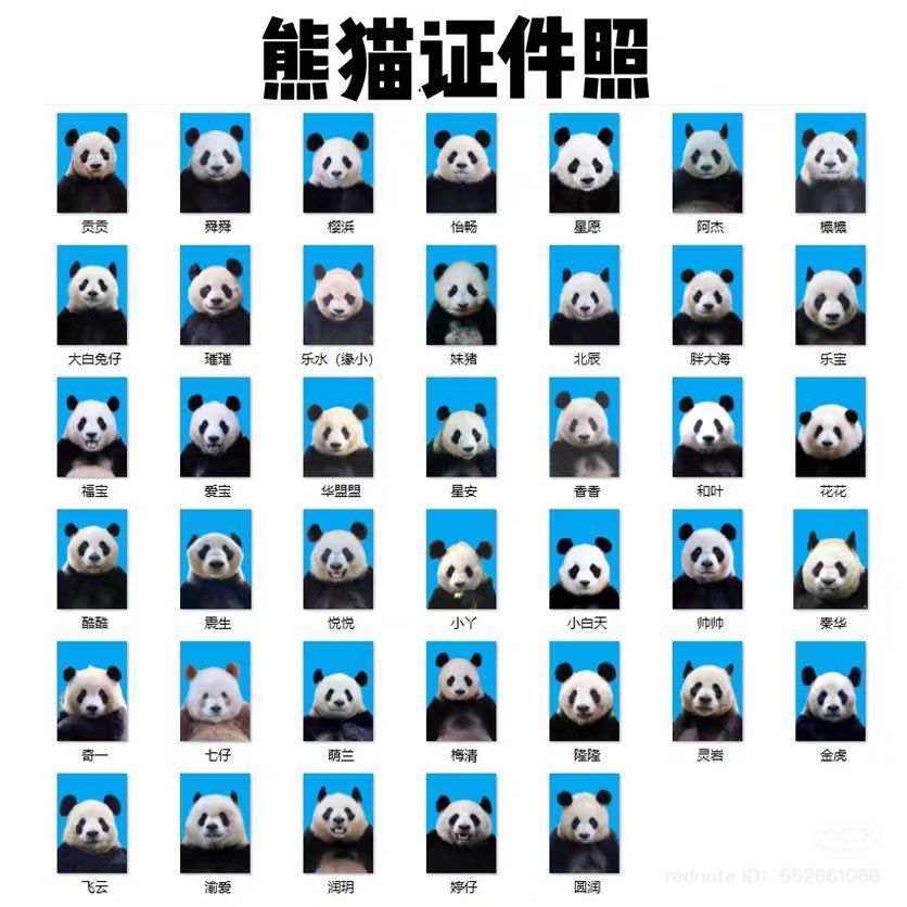 รูปนักเรียนหรอ 🤣