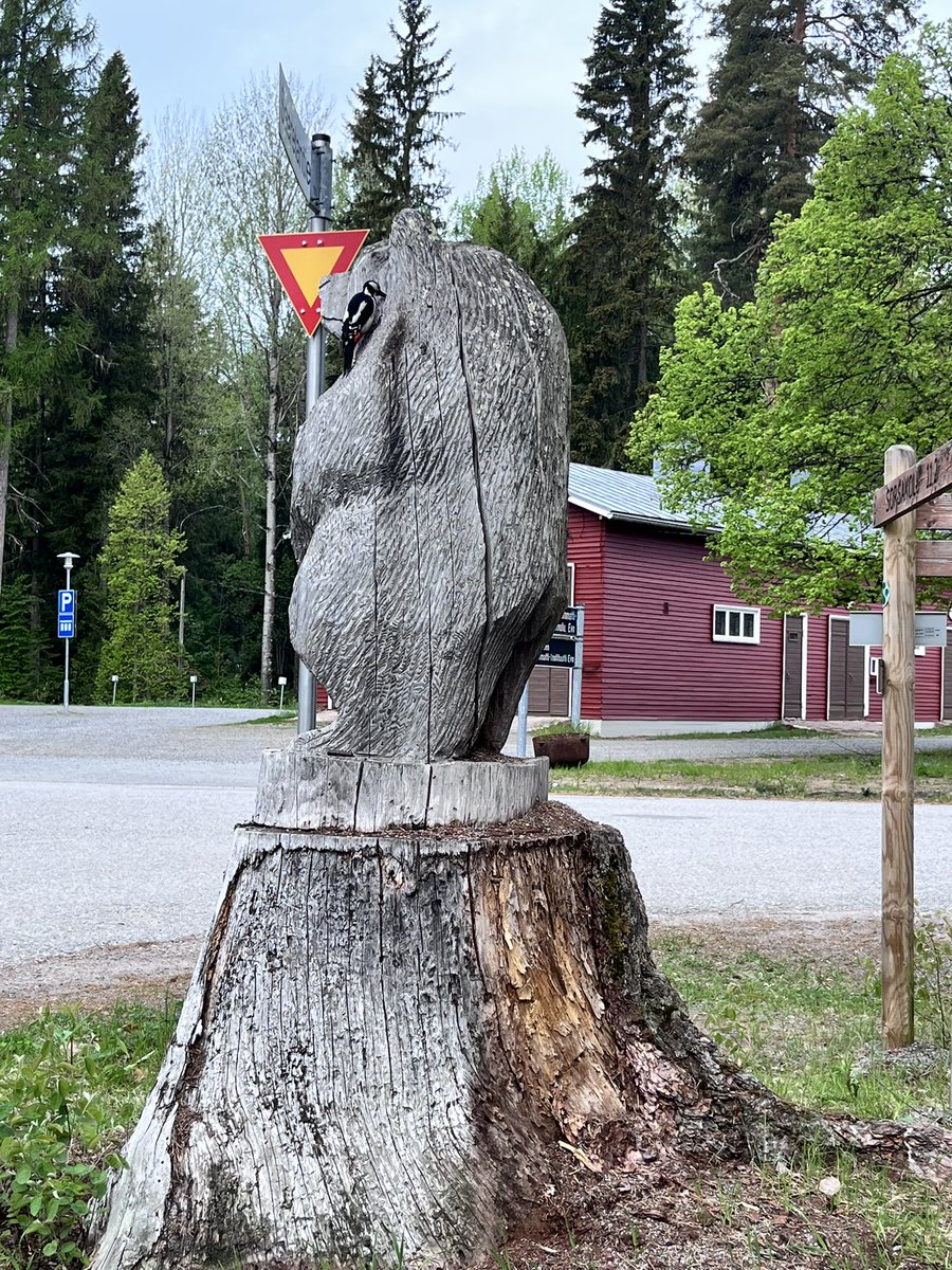 Gloria Murari tweet media