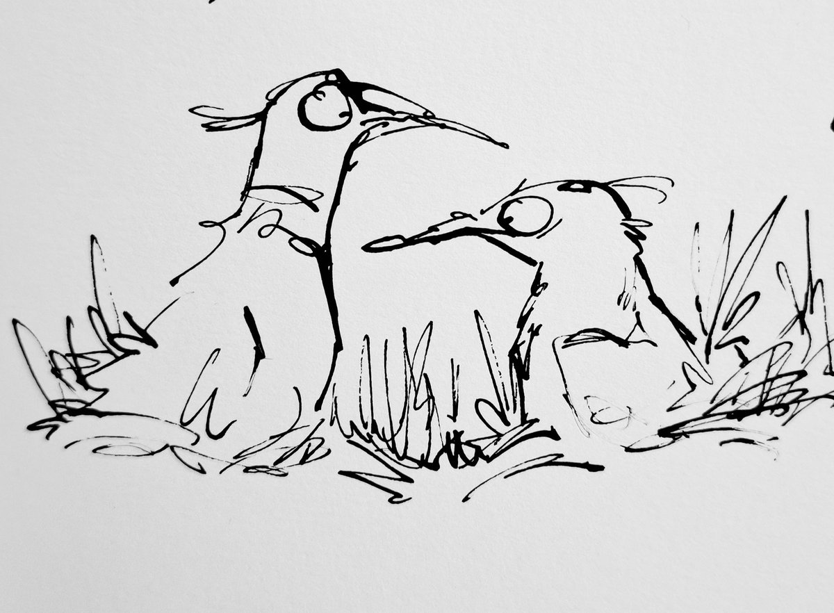 sketchbook corner: a trio of birds