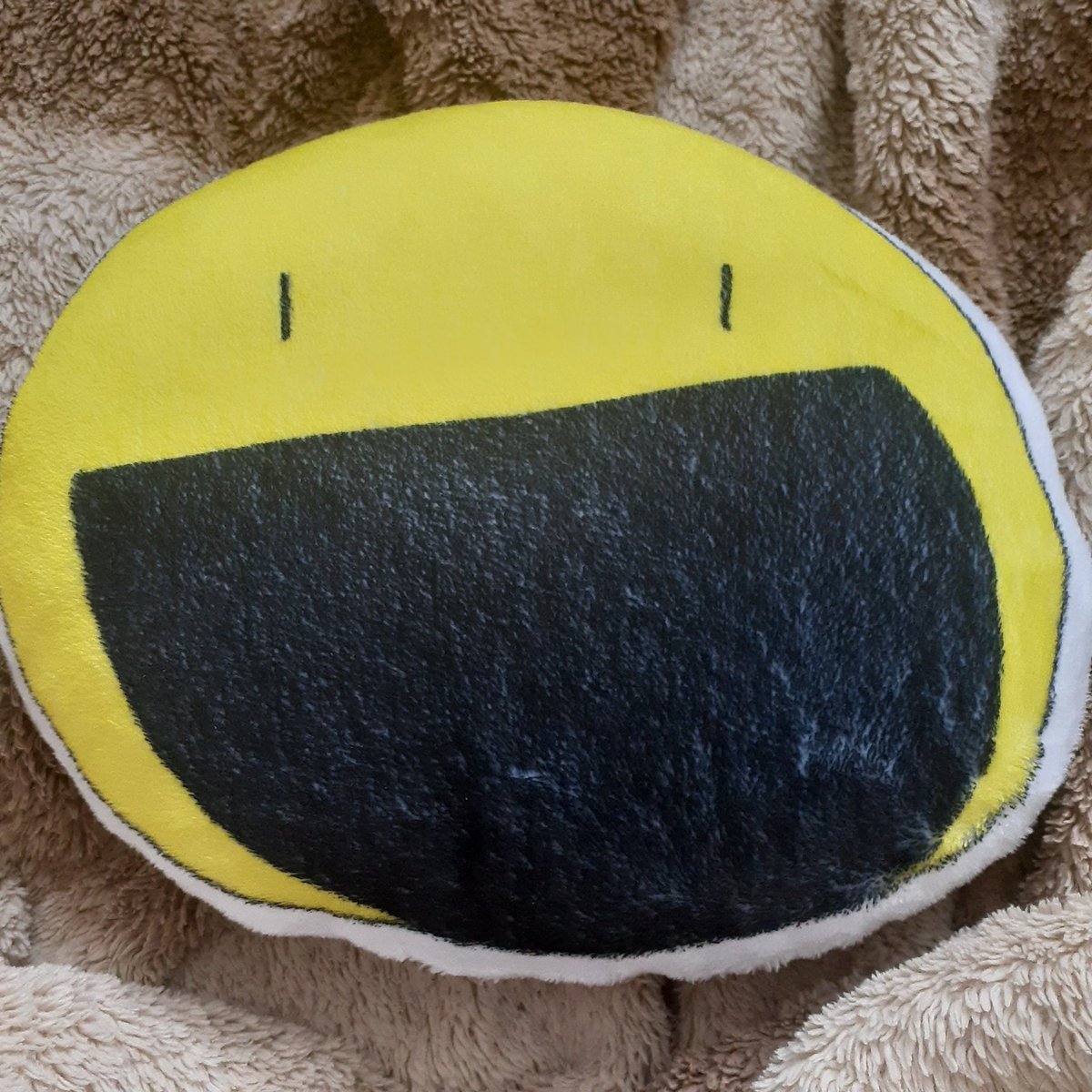YF_Plush's tweet photo. He has come back https://t.co/HugACH3OCc