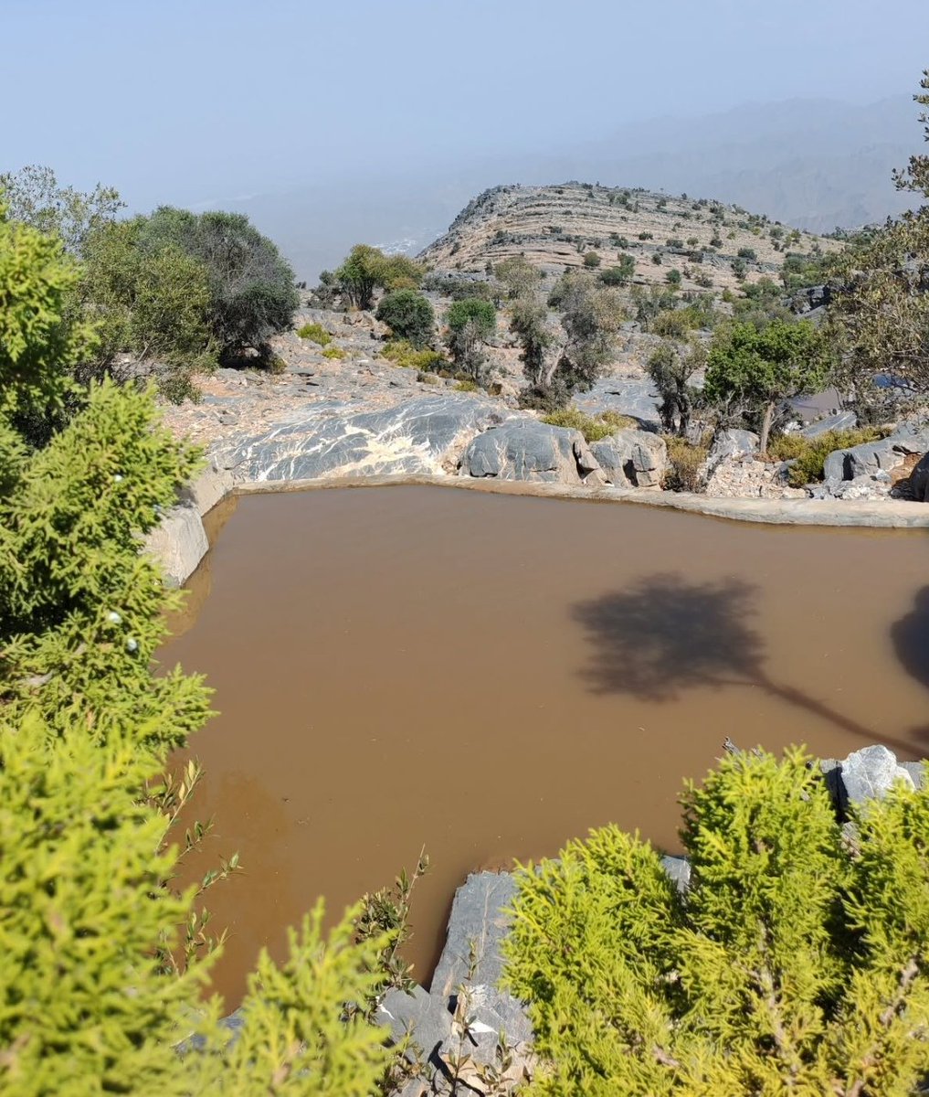ودنـا نجـلـس على جال الغـديـر
وانـتـمـتــع بـالـربـيــع وبـالـزهــر
 
ريحـة العلعلان وشذاها العطـيـر
تـنـعـش اقـلوبٍ تـوطـاهـا الـكـدر
 
خيـمـةٍ بالبر مـفـروشـه حـصـيـر
تسـوى عندي فلة ع شط البحر

         ##صباحكم_غدير##☺️😌