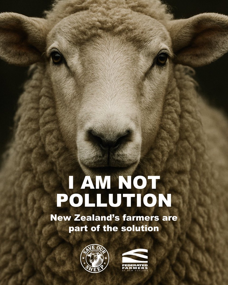 Kiwi farmers' carbon footprint per kilogram of lamb is lower than virtually any other nation on planet Earth, and our wool is a renewable and biodegradable alternative to synthetic fibres and plastics.
Save our sheep 🐑
