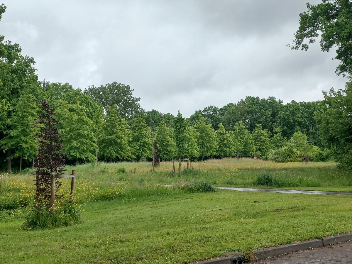 Goedemorgen, iedereen een hele mooie Hemelvaartsdag gewenst. Geniet van al het mooie en goede dat deze dag je brengt.
Ik ga zo naar Bolsward om van daar uit een rondrit langs Doperse monumenten te maken.