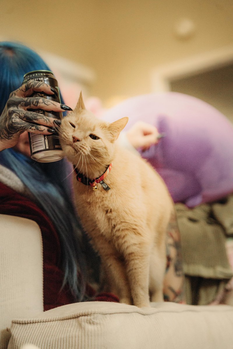 Snorlaxative tweet media