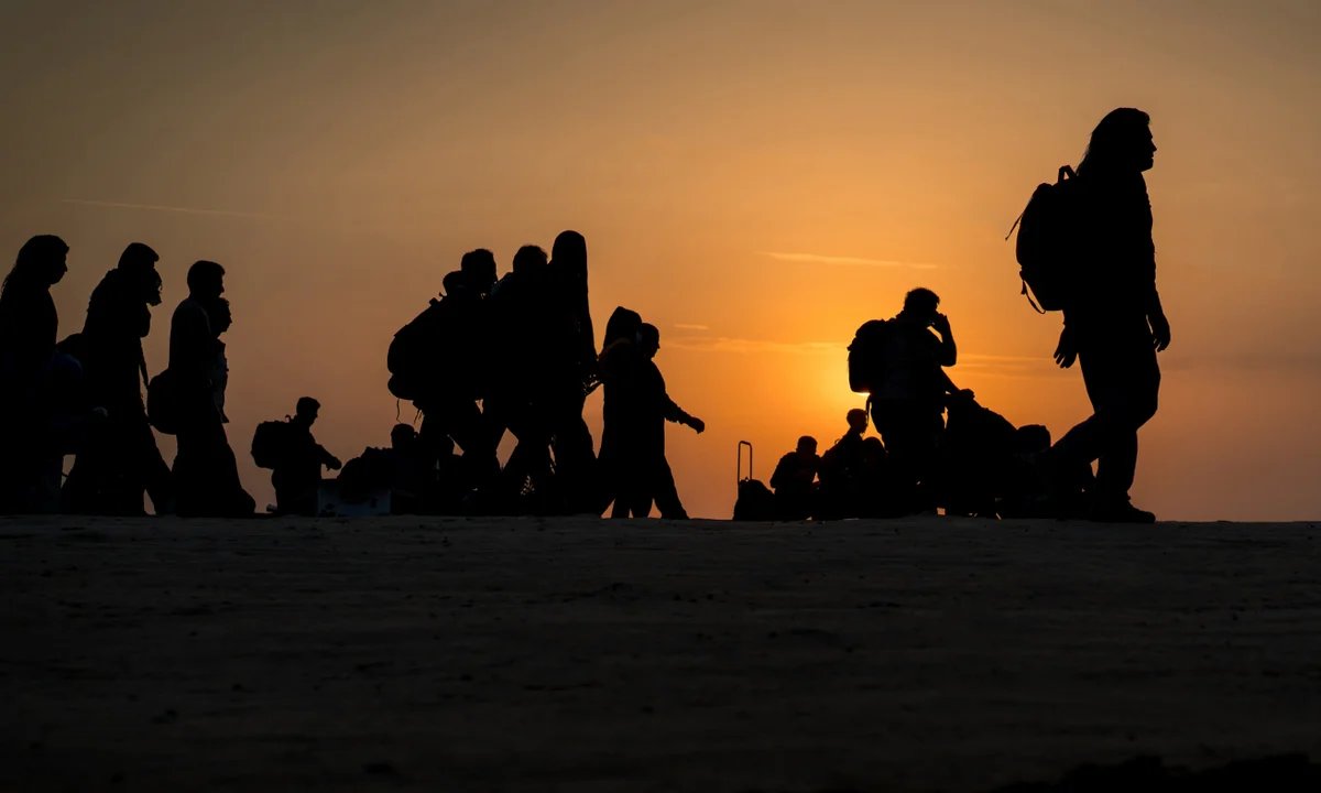 Mass Migration. Let’s talk numbers. 

In FY 2023, over 535,000 permanent and long-term arrivals came to Australia. FY 2024 was a similar story. 🧵