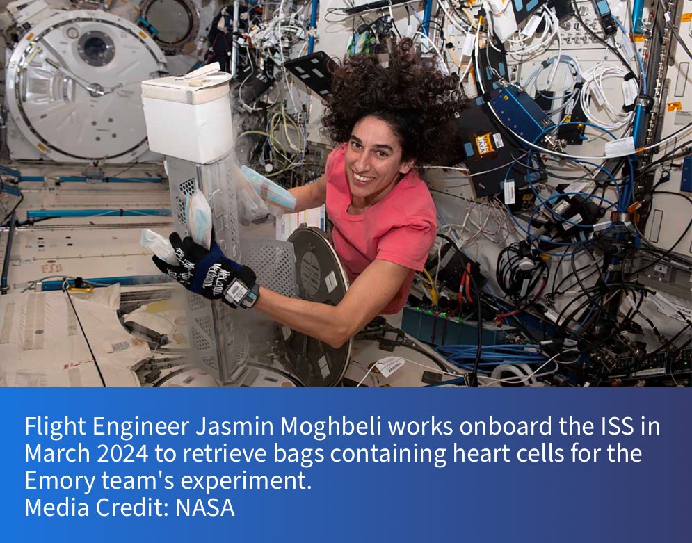 Studying Cardiac Cells in Space to Repair Heart Damage on Earth.🫀🛰️
#spacemedicine #cellsinspace #microgravity #spaceresearch