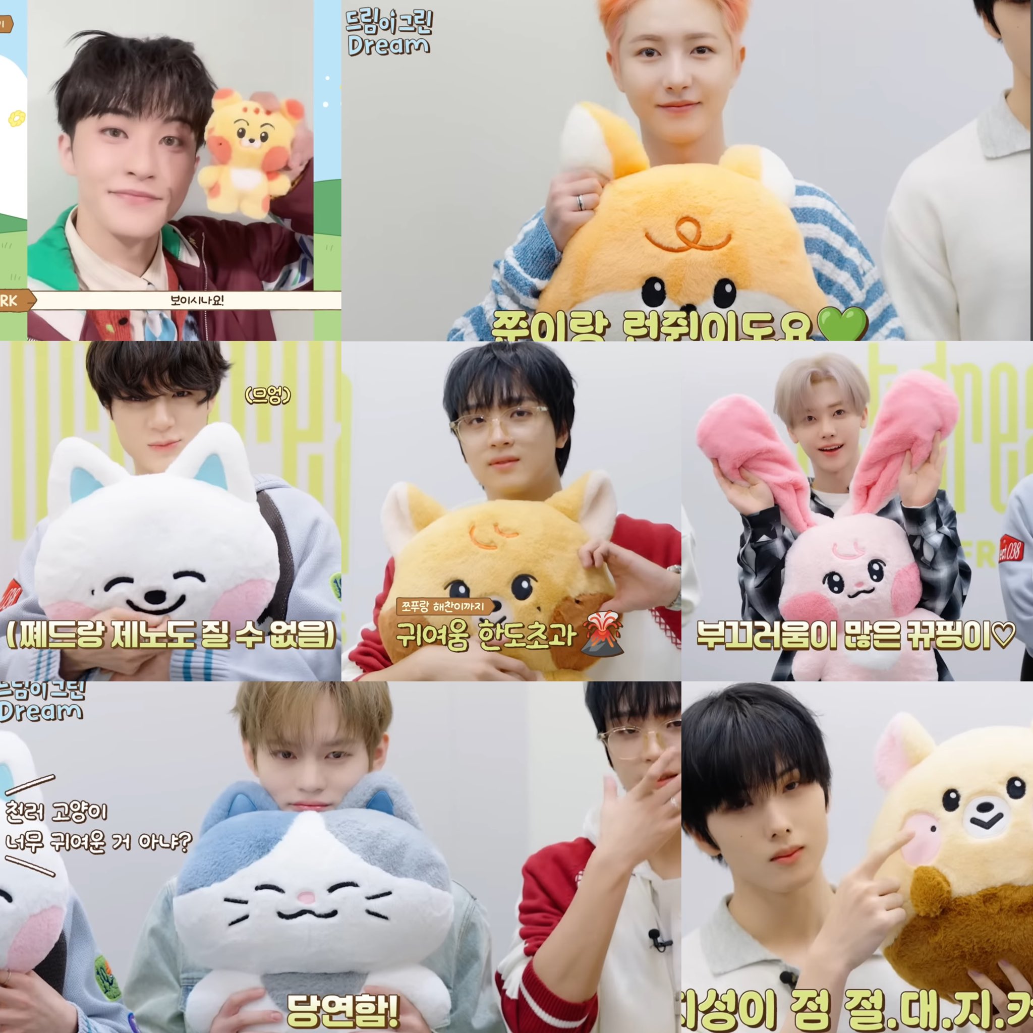 NCTDREAM ジェミン JAEMIN ぬいぐるみ Dreamiez Dreamiez ジェミン キュピン JAEMIN キーホルダー - メルカリ