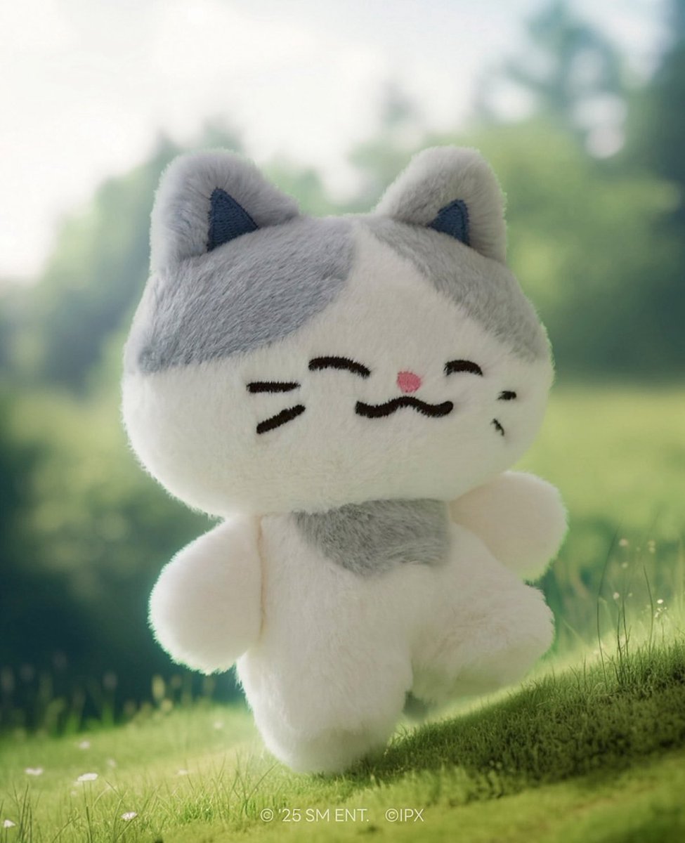 the artist                                      the art