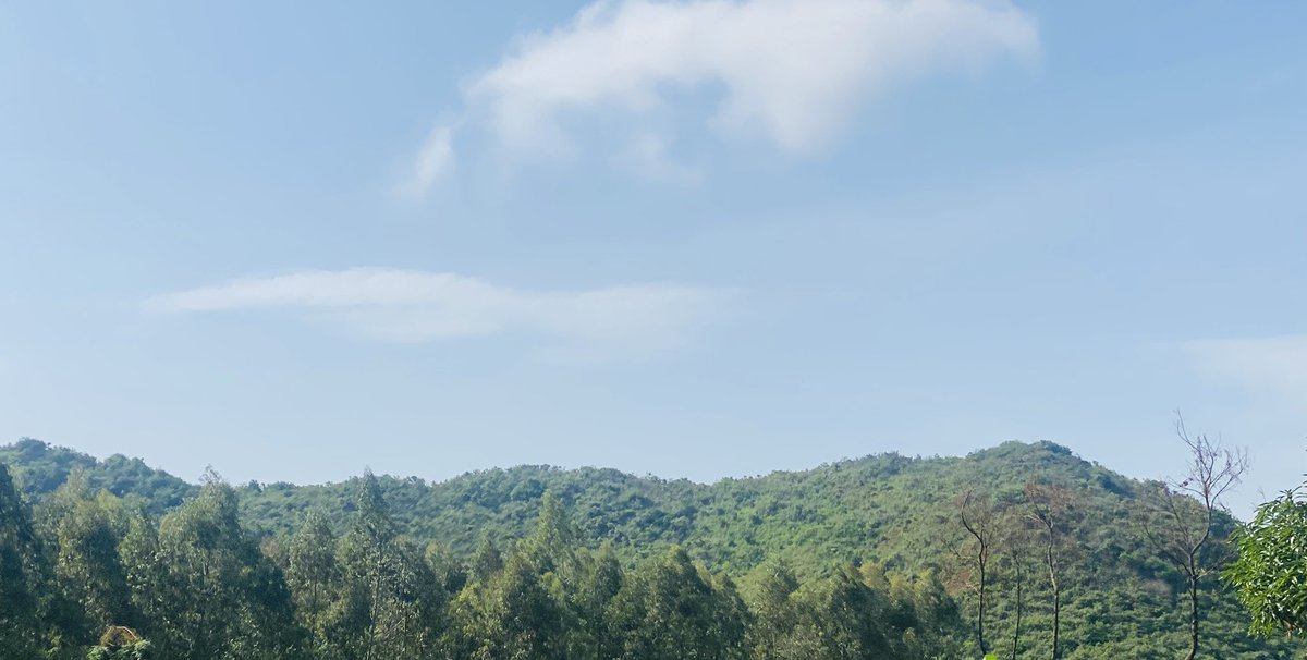 EscapeSafaris_'s tweet image. Masindi you been so good to us see you in a few but my @EscapeSafaris_ our clear story about this expeditions is still loading