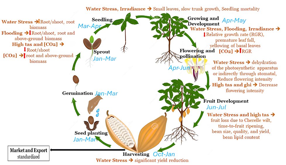 Implications of Changes in Water Stress and Precipitation Extremes for Cocoa Production in Côte D'ivoire and Ghana 
Yield losses of 2.5–37% in dry years rmets.onlinelibrary.wiley.com/doi/abs/10.100… #ClimateChange #Cocoa #WestAfrica #AgAdaptation #WaterStress <a href="/IWMI_/">IWMI</a>