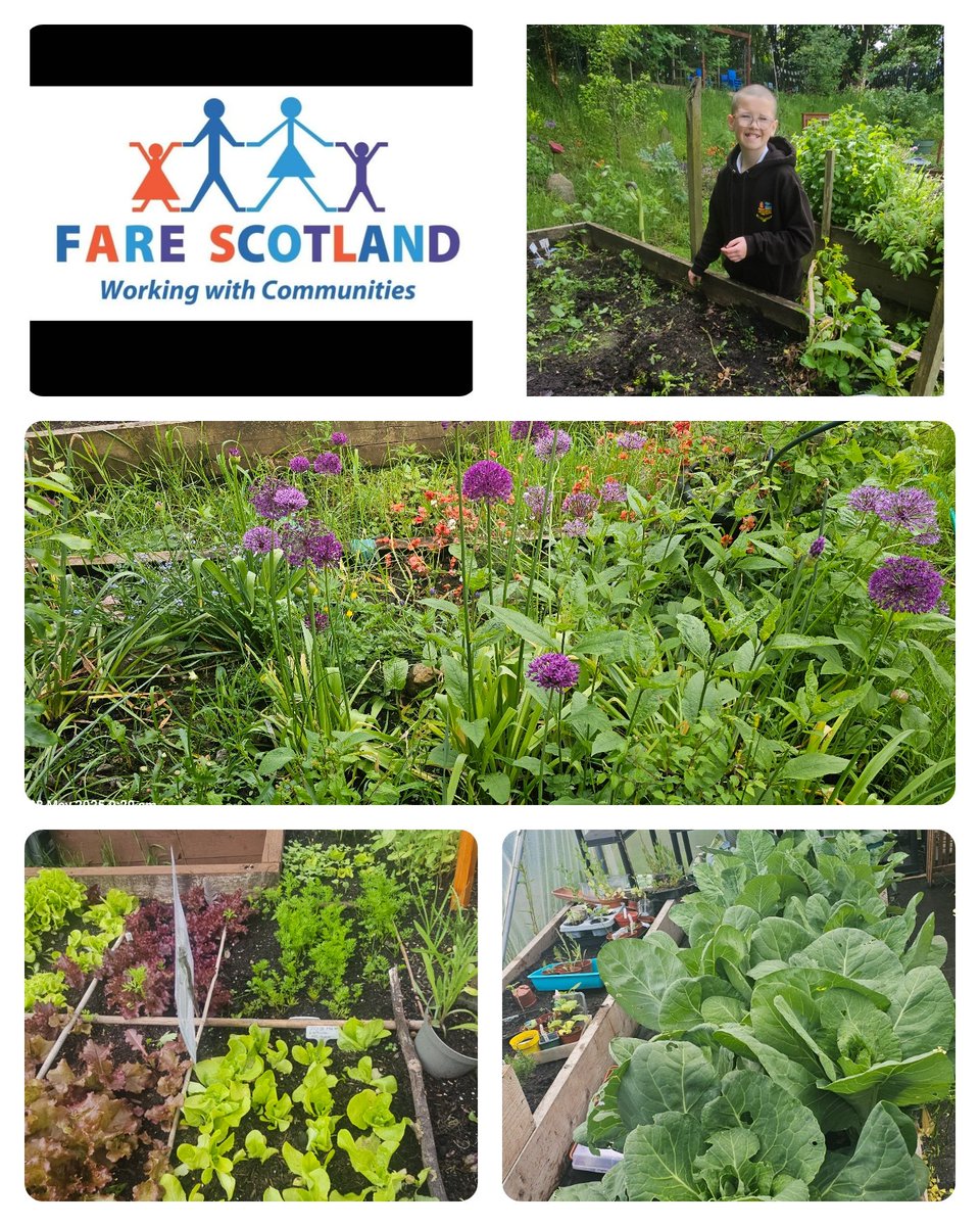 Suzie Wilson FARE (@suzieq1402) on Twitter photo <a href="/LCHS_ENP/">ENP at Lochend</a> The boys are doing great work in our Community Allotment. They smile says it all <a href="/LochendHigh/">Lochend Community High School</a> <a href="/LCHS_ENP/">ENP at Lochend</a> The boys are doing great work in our Community Allotment. They smile says it all <a href="/LochendHigh/">Lochend Community High School</a>