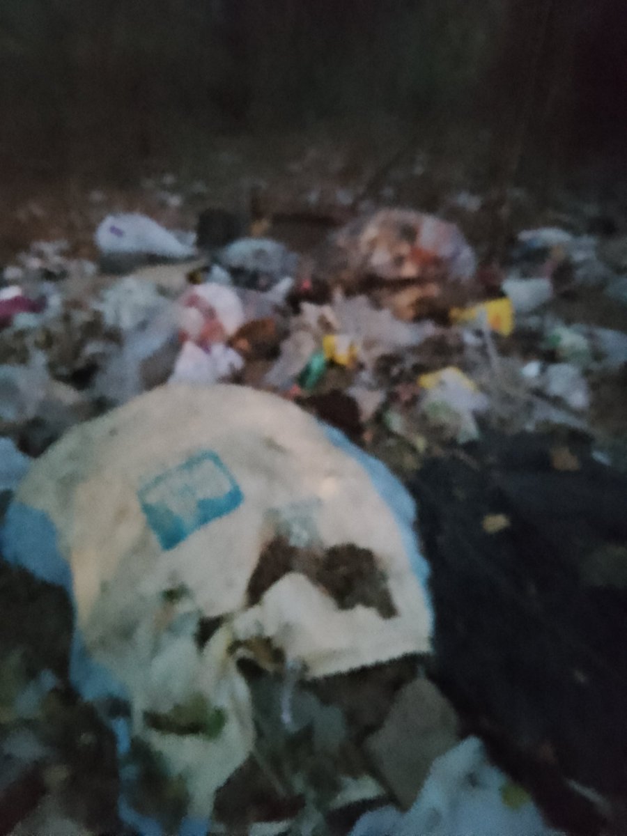Block14RWA's tweet photo. @CMODelhi @LtGovDelhi @MCD_Delhi @AshwaniKumar_92 @CPWDGOV @kjsehrawat @mlashyam_sharma @official_dda 
@dcwestzone 
Request urgent attention on this issue that is pending since year 2021. Pls see attached images 4 details &amp; direct the concerned to address this on top priority. https://t.co/Xyg4K5jnJn