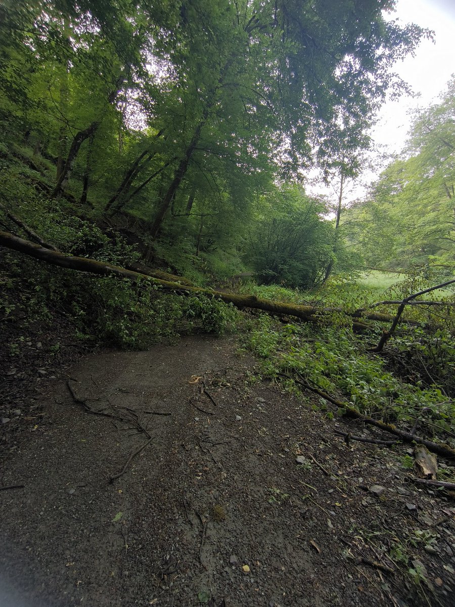 Das geht so nicht, wo ist die Kettensäge wenn man sie braucht.
Leider ist das Fahrrad zu schwer um es drüber zu heben... Leider muss ich dann einen Umweg fahren. Sowas aber auch.