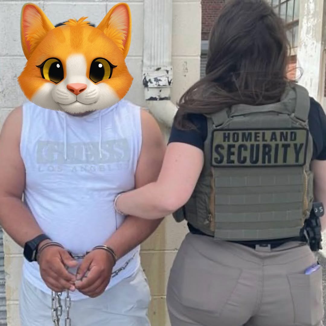 GsGOm6EXMAAJQCn