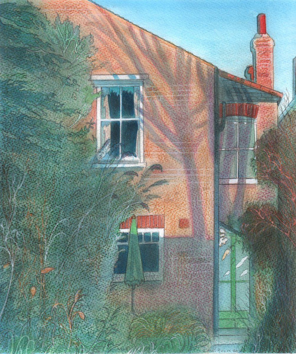 Back of the House Tree Shadow