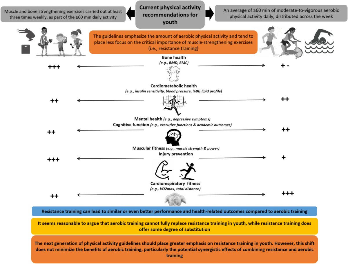 💪🏽 El entrenamiento de fuerza es clave para la salud infantil y juvenil: mejora fuerza, potencia, resistencia muscular y + 🫀🧠💥
➡️ Reduce grasa, mejora sensibilidad a la insulina, salud ósea y mental
➡️ Previene lesiones

link.springer.com/article/10.100…