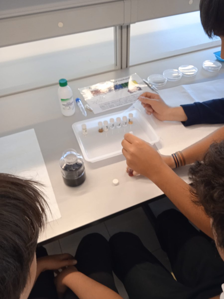 Francisco J Plou (@franciscoplou) on Twitter photo Ayer participé en una actividad de divulgación con alumnos de 2ºESO basada en #Las9pruebasCasaMelgar
Taller organizado por <a href="/colartenmadrid/">ColArte en Madrid</a> y <a href="/UNEDFacCiencias/">Fac. Ciencias UNED</a>
▶️Experimentos del arcoíris de la lombarda, catálisis con H2O2 y quimioluminiscencia
<a href="/ICP_CSIC/">Instituto de Catálisis y Petroleoquímica (CSIC)</a> <a href="/DLGMA_CSIC/">Delegación Institucional del CSIC en Madrid</a> <a href="/CSICdivulga/">CSIC Divulga</a> Ayer participé en una actividad de divulgación con alumnos de 2ºESO basada en #Las9pruebasCasaMelgar
Taller organizado por <a href="/colartenmadrid/">ColArte en Madrid</a> y <a href="/UNEDFacCiencias/">Fac. Ciencias UNED</a>
▶️Experimentos del arcoíris de la lombarda, catálisis con H2O2 y quimioluminiscencia
<a href="/ICP_CSIC/">Instituto de Catálisis y Petroleoquímica (CSIC)</a> <a href="/DLGMA_CSIC/">Delegación Institucional del CSIC en Madrid</a> <a href="/CSICdivulga/">CSIC Divulga</a>