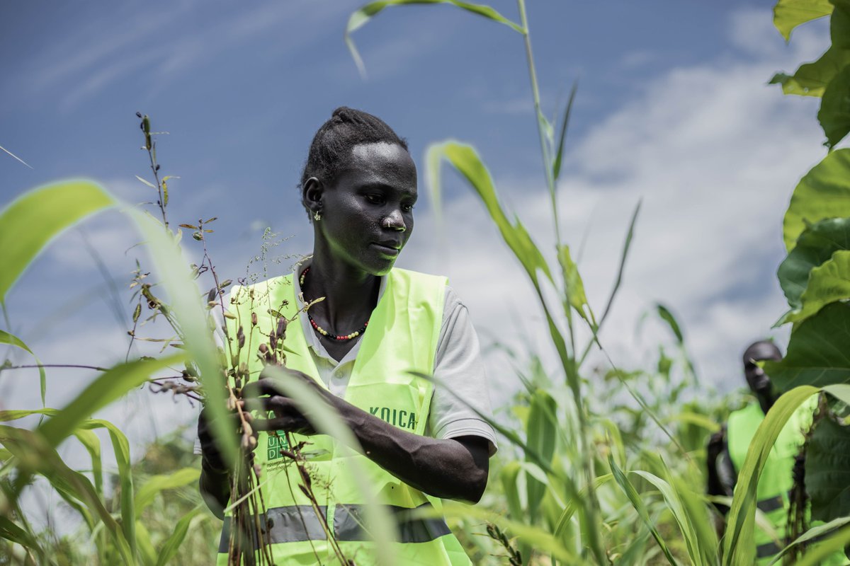 This #KoreaInUganda visit has highlighted the value of core support from #PartnersAtCore such as <a href="/MOFAkr_eng/">MOFA</a> to enable <a href="/UNDP/">UN Development</a> and partners to work together effectively, respond to pressing development challenges, and create transformative solutions for the people of Uganda.