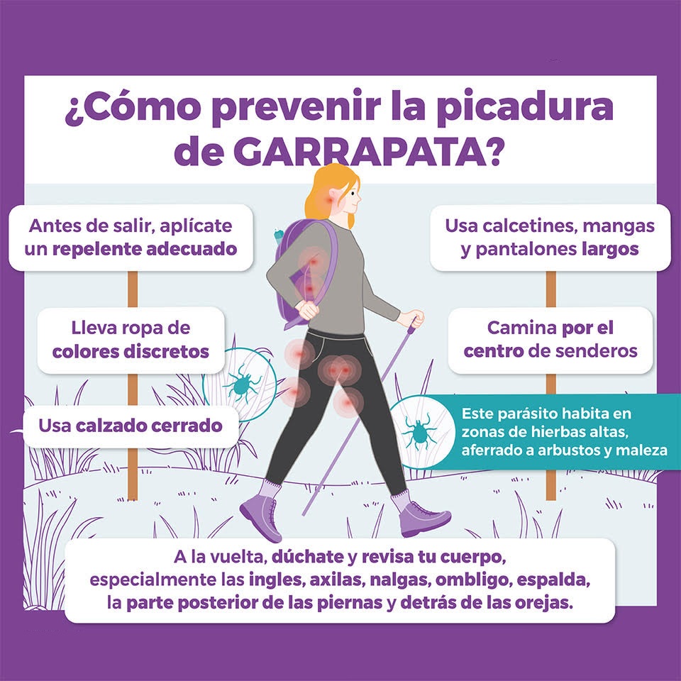 Los pastos que han crecido en los caminos de #Valdemoro a causa de las lluvias ha generado la proliferación de garrapatas y otros insectos no 🪲 que pueden provocar enfermedades infecto-contagiosas
Te traemos unos consejos para evitar picaduras