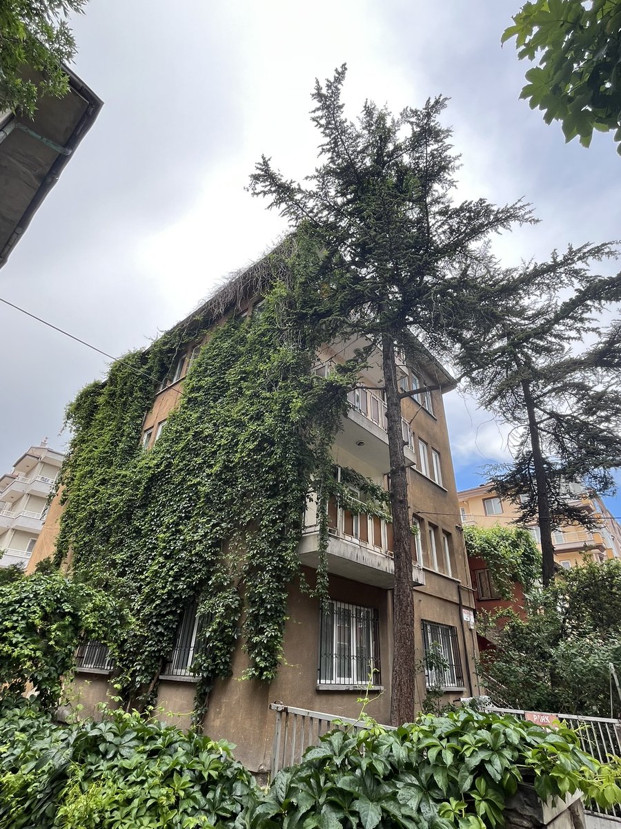 nazeende's tweet photo. Kapkara olan içimiz bugün bu bina gibi yeşillenecek. https://t.co/4pu6h6v7aR