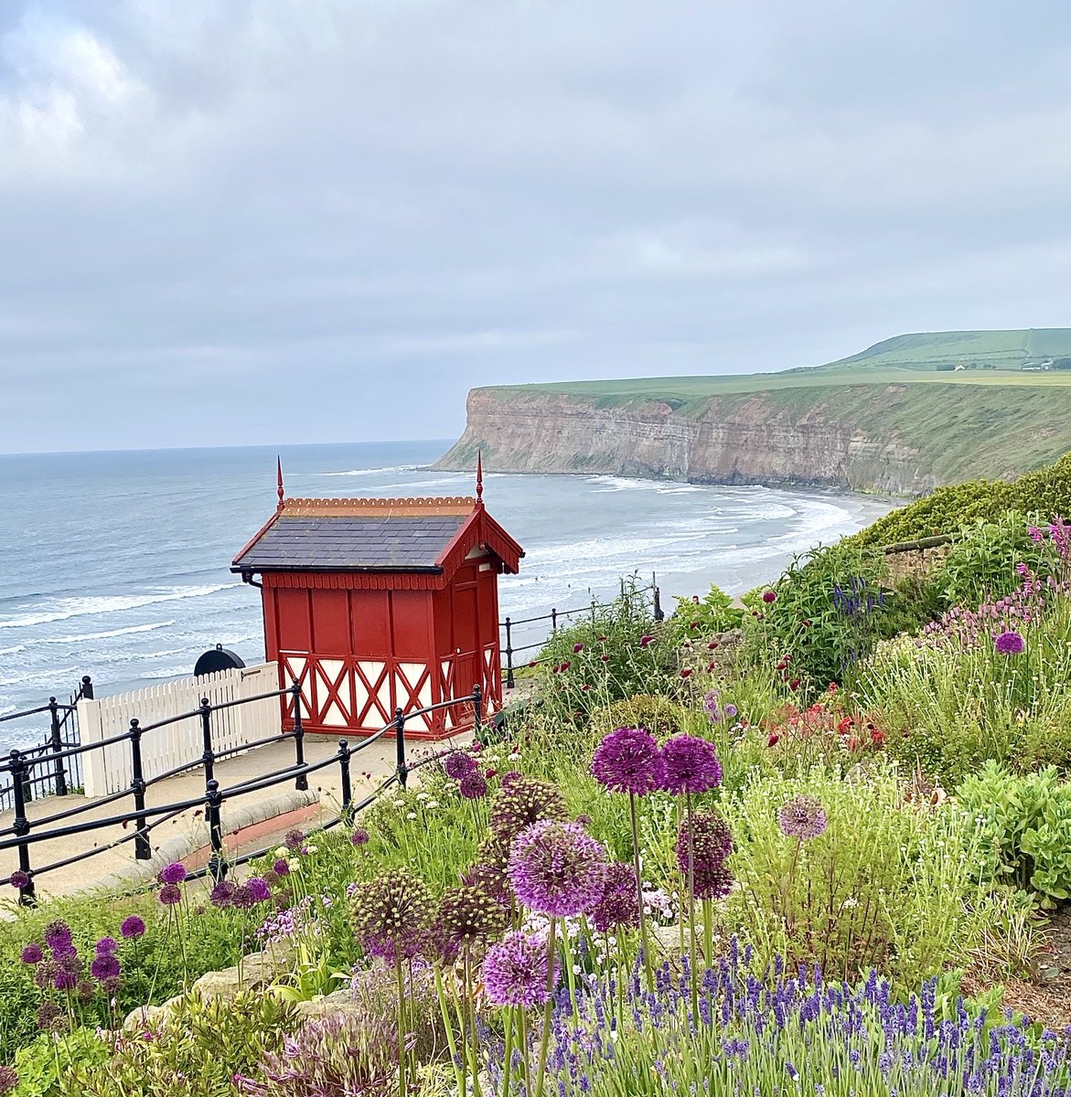 NickyJohnsonNY's tweet photo. Wishing you a happy Thursday from Saltburn, North Yorkshire 😊 https://t.co/MWEgSprO5F