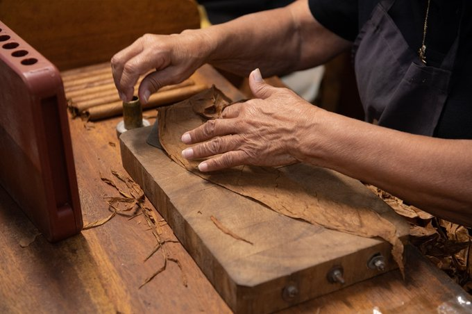 Ogni 29 maggio #Cuba 🇨🇺 celebra la Giornata del Lavoratore Tabacchino, in occasione la nascita del leader operaio Lázaro Peña González.

Oggi rendiamo omaggio a tutti coloro che rendono possibile che il tabacco cubano sia considerato uno dei migliori al mondo.