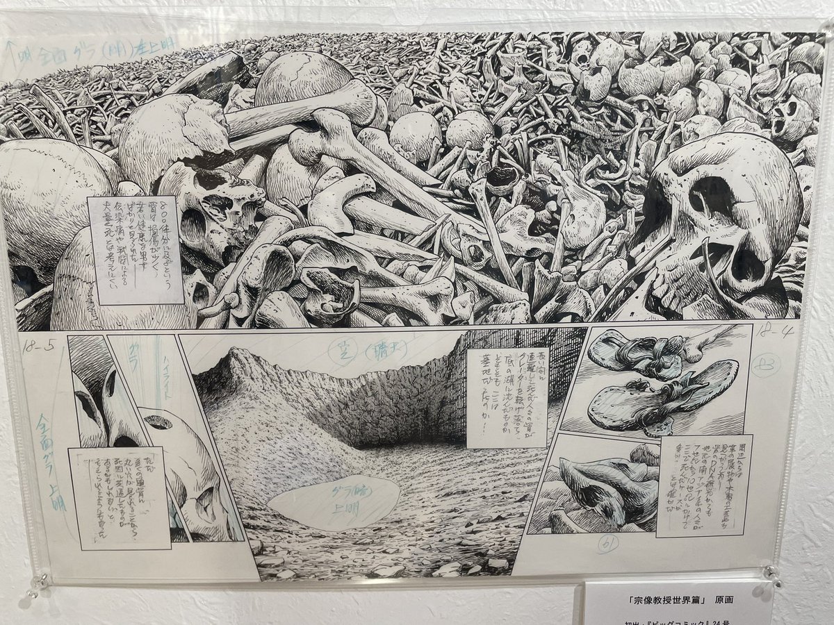 星野之宣先生原画展

原画の圧がすごい 