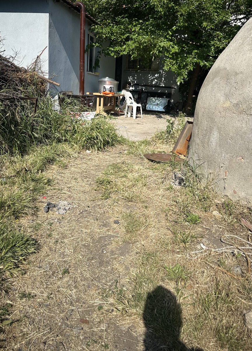 Hayır kazan sana kızgın ördek gibj bakmiyor