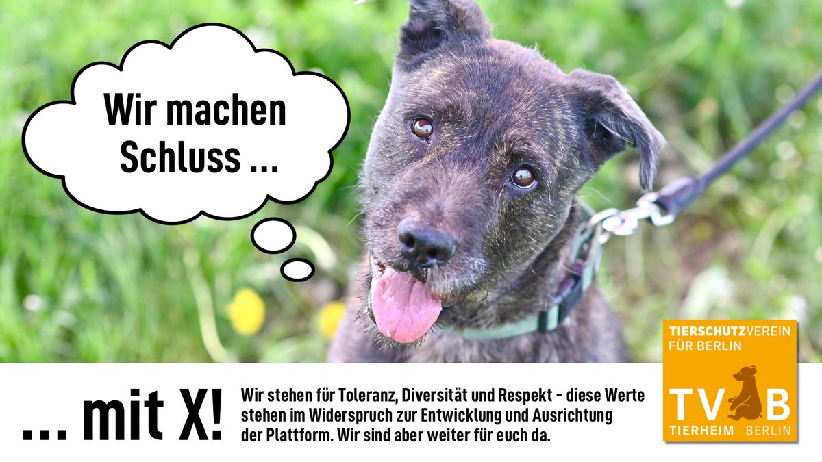 Zum 1. Juni schließen wir unseren X-Account, weil wir uns mit den von den Betreibern vermittelten Werten und Entwicklungen nicht mehr identifizieren können. Ihr findet uns weiter auf Insta, Facebook, Youtube und Linkedin @TierschutzBerlin. Vielen Dank für eure Unterstützung.🧡