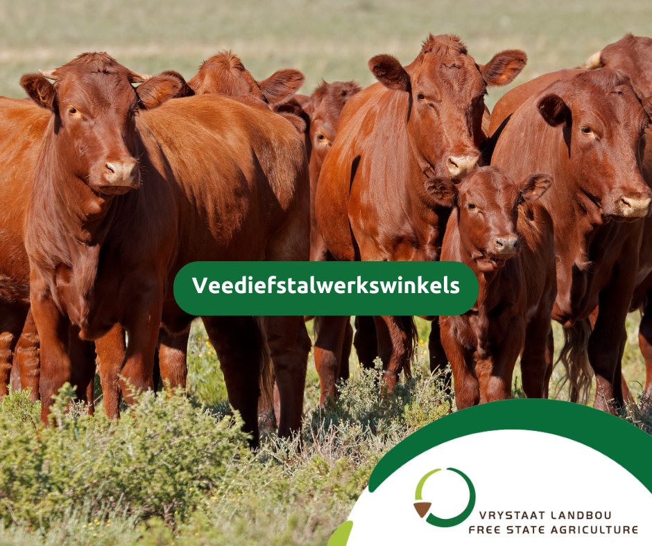 Vrystaat Landbou (@vslandbou) on Twitter photo VL bied gereeld veiligheids- en veediefstalwerkswinkels aan om boerderygemeenskappe te bemagtig ten einde veediefstal meer doeltreffend aan te spreek.
Om meer oor hierdie opleiding uit te vind stuur Ε e-pos na jane@vslandbou.co.za. VL bied gereeld veiligheids- en veediefstalwerkswinkels aan om boerderygemeenskappe te bemagtig ten einde veediefstal meer doeltreffend aan te spreek.
Om meer oor hierdie opleiding uit te vind stuur Ε e-pos na jane@vslandbou.co.za.