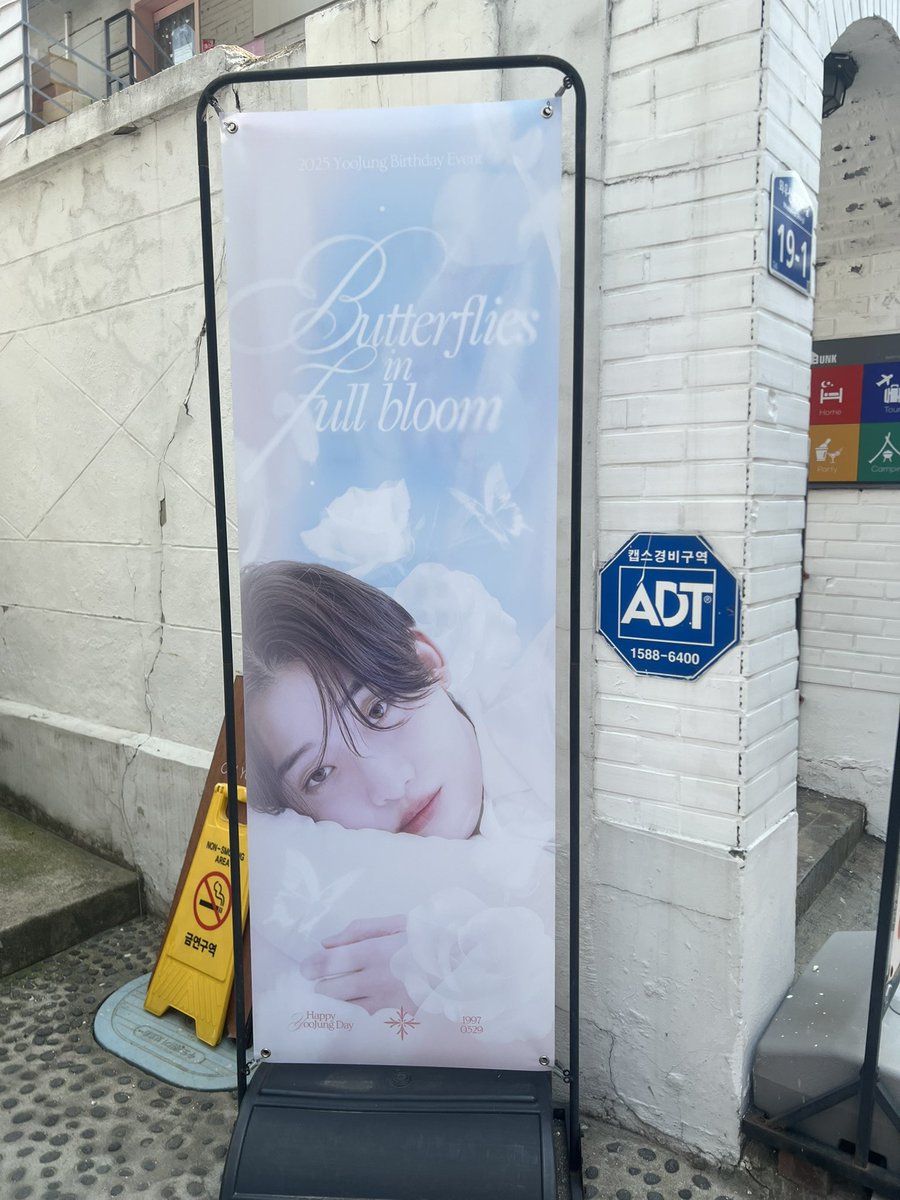 dreamynabi_'s tweet photo. 🦋🌷

#Butterflies_in_full_bloom
#변하지_않은_사랑을_유정이에게
#OnlyOneOf #온리원오브 #유정 https://t.co/NjkcBMJUM5
