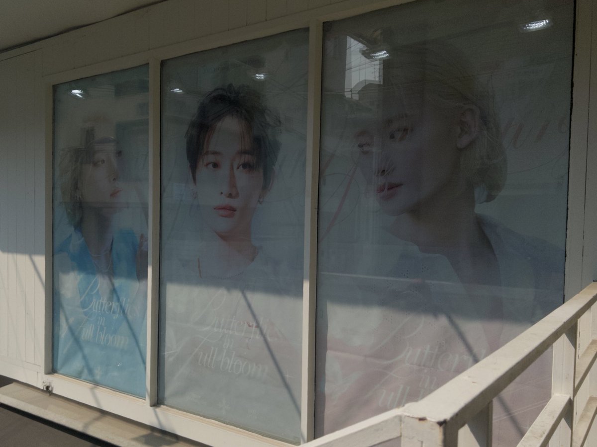dreamynabi_'s tweet photo. 🦋🌷

#Butterflies_in_full_bloom
#변하지_않은_사랑을_유정이에게
#OnlyOneOf #온리원오브 #유정 https://t.co/NjkcBMJUM5