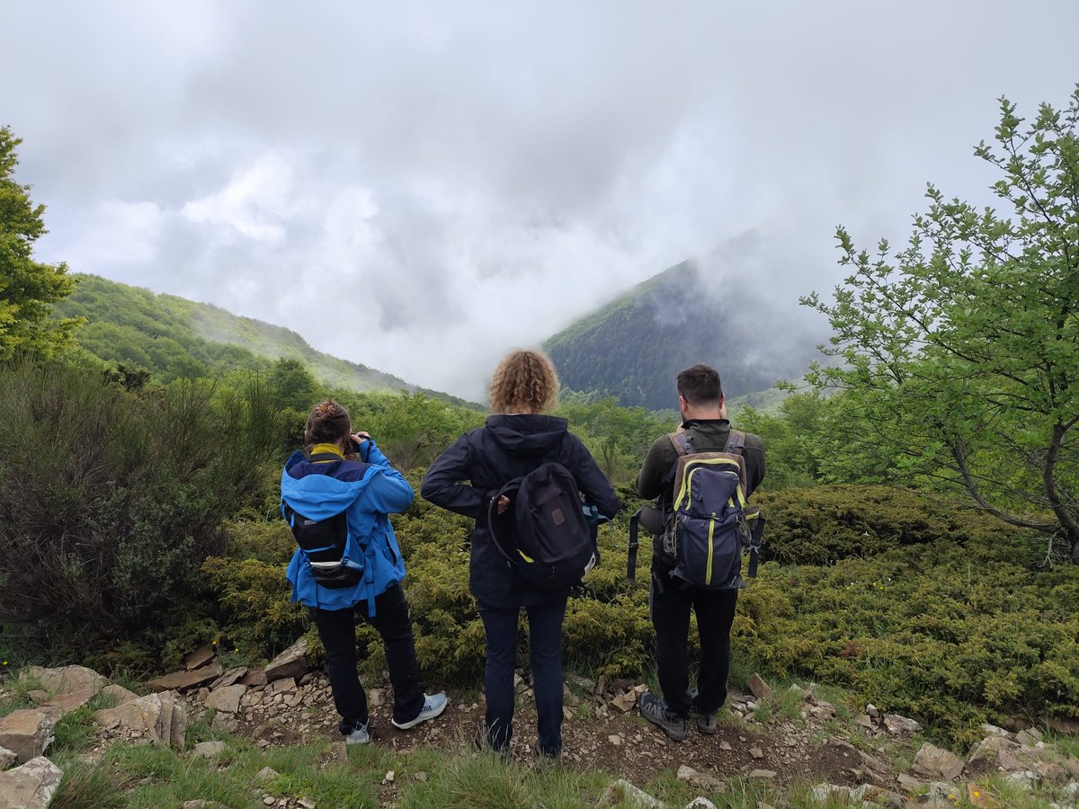 🍃Operadors internacionals descobreixen el <a href="/montseny/">Parc Natural i Reserva de la Biosfera del Montseny</a> a través del projecte de <a href="/TurMontseny/">Turisme Montseny</a> "6 Sentits. Camí del Montseny", un viatge pel territori amb mirada sostenible i vivencial per descobrir els valors naturals, culturals i gastronòmics de la zona.
ℹ️ parcs.diba.cat/ca/web/l-infor…