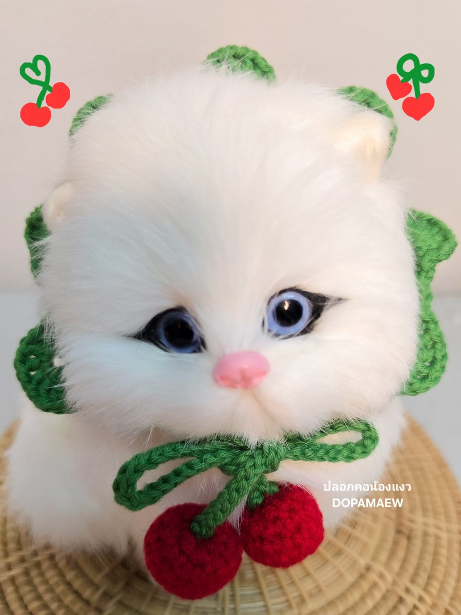 chapatchan tweet picture