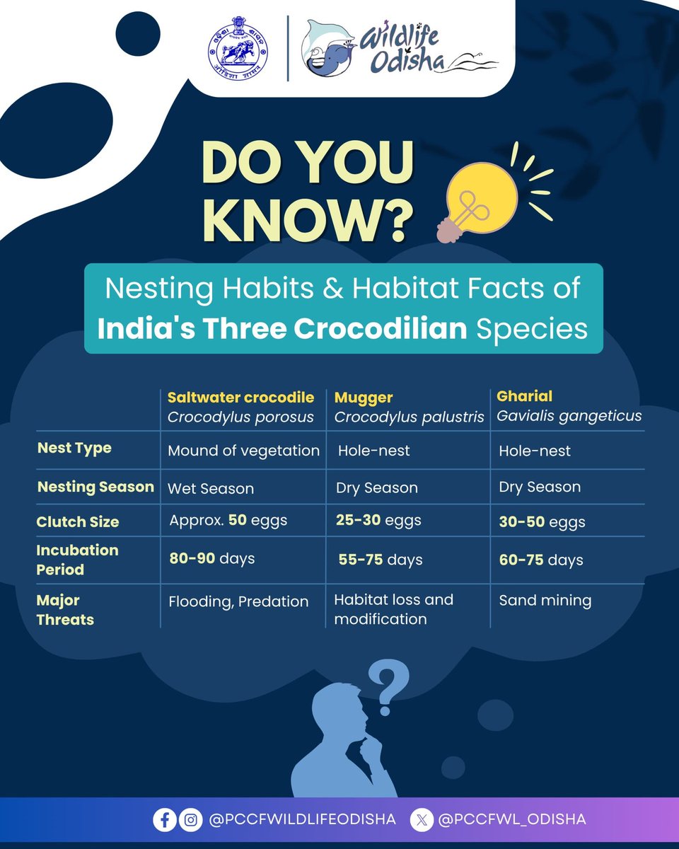 PCCF WL & CWLW, Odisha (@pccfwl_odisha) on Twitter photo Do you know?
IndiaтАЩs three crocodiles have different nests, seasons, and threats. Protect their homes to save these amazing reptiles!
<a href="/ForestDeptt/">Odisha Forest, Env. and Climate Change Department</a>
#CrocodileFacts #WildlifeConservation #SaveWildlife Do you know?
IndiaтАЩs three crocodiles have different nests, seasons, and threats. Protect their homes to save these amazing reptiles!
<a href="/ForestDeptt/">Odisha Forest, Env. and Climate Change Department</a>
#CrocodileFacts #WildlifeConservation #SaveWildlife