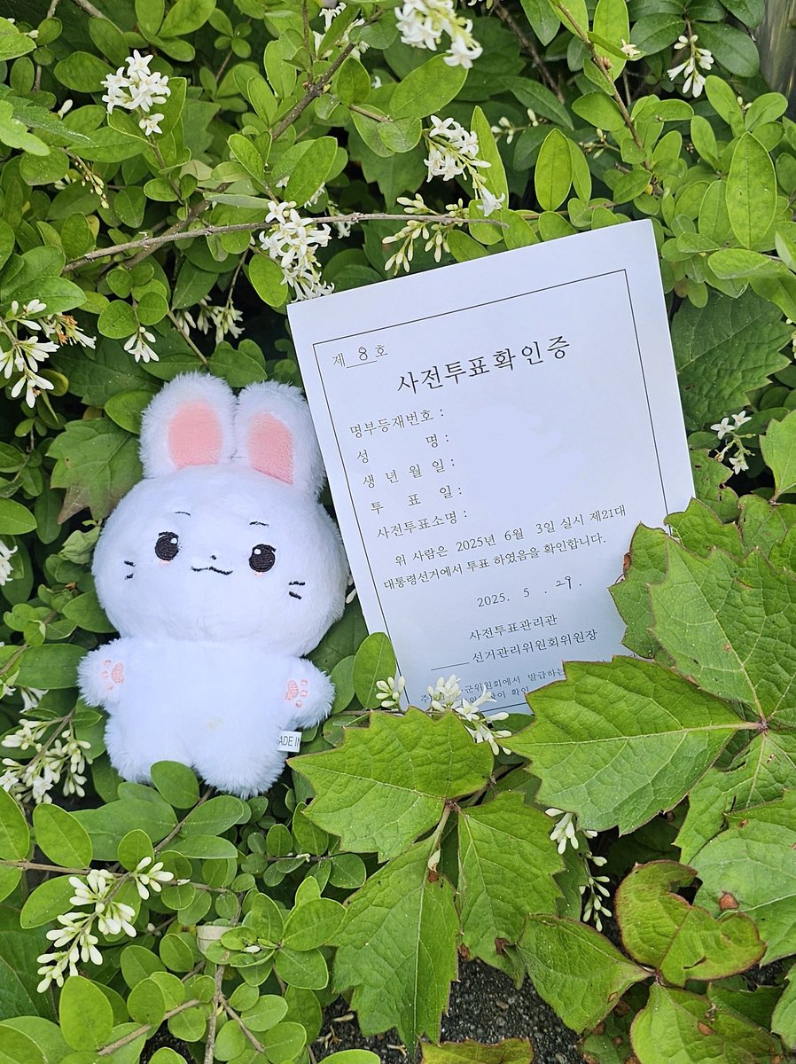 dx_xbm's tweet photo. 폴쫑이랑 투표하고 왔찌요🤎 https://t.co/ogIDDQi69h