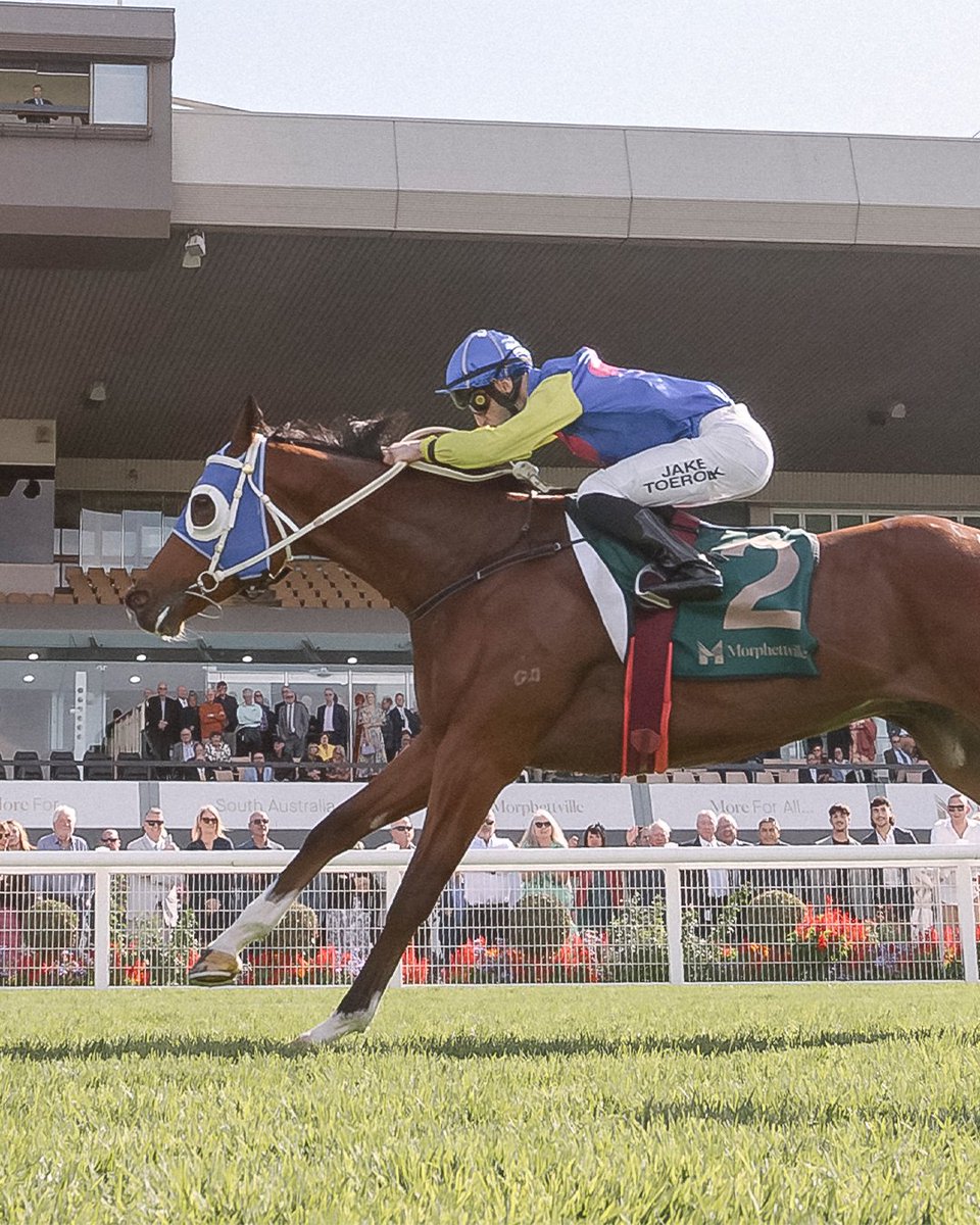 After a little freshen up, we are back for a nine race card on the main track. From GA to dining in the Winning Post Restaurant, there's something for everyone.

Tickets: bit.ly/May31RaceDay