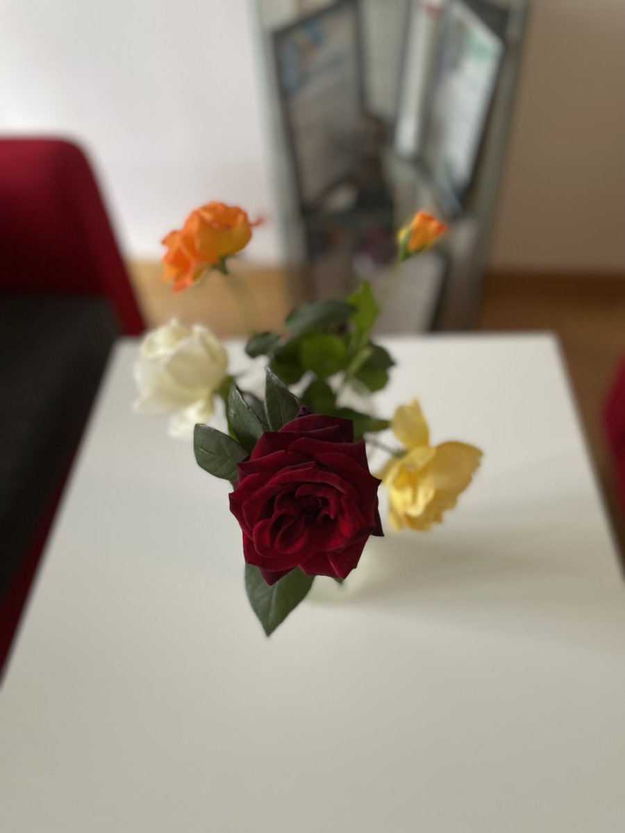 PaulaWhitcher1's tweet photo. #FlowerThursday from âŠ@BBCGlosâ© Reception is brought to you by âThe Poets Wifeâ, âPrecious Amberâ, Happy 25th Anniversary & last but not least, my previously photographed winner âUncle Walterâ â€ïž have a great day and stay safe on the roads https://t.co/OFw3kMhipn