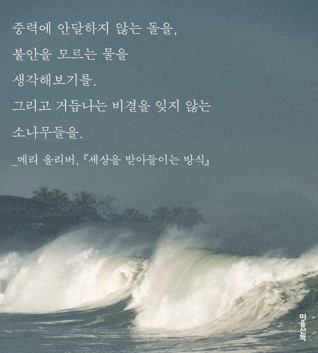 중력에 안달하지 않는 돌을,
불안을 모르는 물을  
생각해보기를.

그리고 거듭나는 비결을 잊지 않는  
소나무들을.

_메리 올리버, 『세상을 받아들이는 방식』