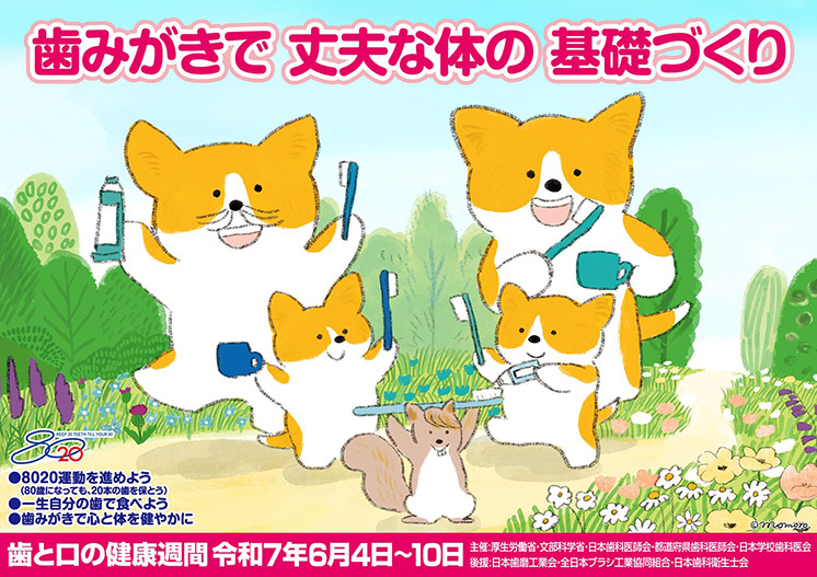 nihonsikaisikai's tweet image. ■6月4日（水）～10日（火）は「歯と口の健康週間」
令和7年度の標語は「歯みがきで 丈夫な体の 基礎づくり」です！
 jda.or.jp/enlightenment/…

 #日本歯科医師会
 #歯と口の健康週間
