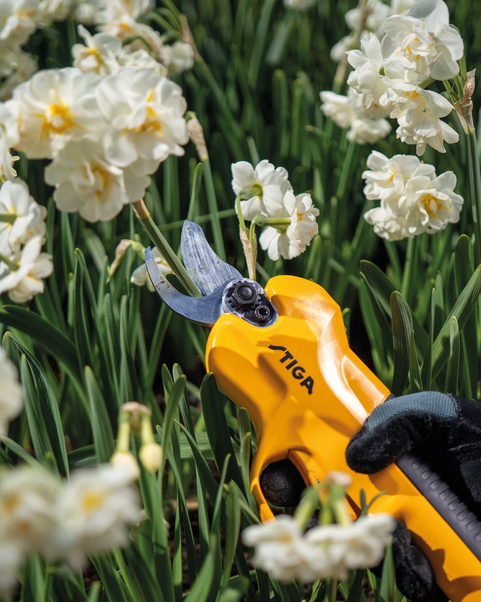 StigaLawnmowers's tweet image. ✂️ Prune like a pro with the STIGA SC 100e!

🌿 Cuts up to 3cm thick
🌿 3 blade settings (15/25/30mm)
🌿 Lightweight + balanced
🌿 Safety lock + auto cut
🌿 20V ePower battery = long runtime ⚡

Snip smart this spring! 🌸

#STIGA #PruningTools #GardenCare