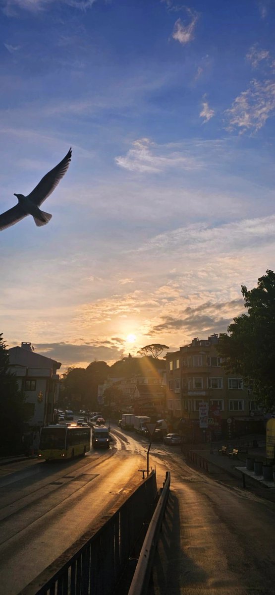 Semtte sabah ☀️. 📍Beylerbeyi