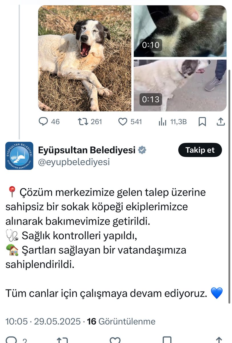 Elcin Ates (@elcinatess) on Twitter photo Dün tüm yaşananlardan sonra , Alice Harikalar diyarında yaşayan
<a href="/eyupbelediyesi/">Eyüpsultan Belediyesi</a> ‘nin insanlara verdiği yanıt.
Siz hangi gezegenin belediyesisiniz?
Dalga mı geçiyorsunuz insanlarla ? Böyle hiçbir şey yokmuş , hiç hata yokmuş ortada gibi davranarak daha itici oluyorsunuz. Dün tüm yaşananlardan sonra , Alice Harikalar diyarında yaşayan
<a href="/eyupbelediyesi/">Eyüpsultan Belediyesi</a> ‘nin insanlara verdiği yanıt.
Siz hangi gezegenin belediyesisiniz?
Dalga mı geçiyorsunuz insanlarla ? Böyle hiçbir şey yokmuş , hiç hata yokmuş ortada gibi davranarak daha itici oluyorsunuz.