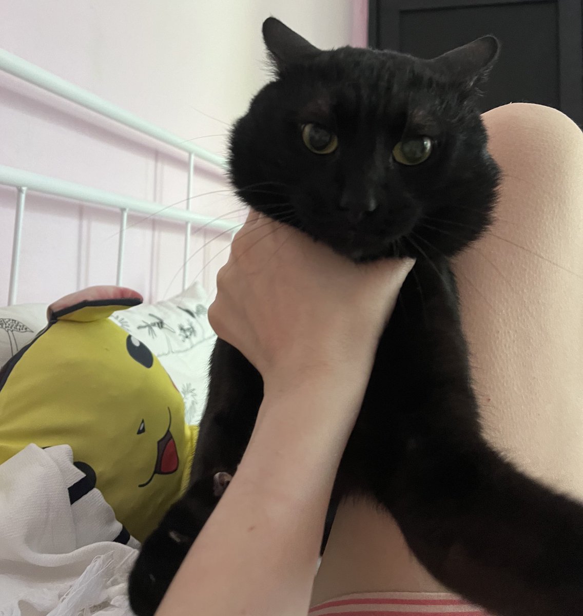 keske kedili bir fotografım olsaydı 2/10 tipim belki 8/10 olurdu özür dilerim