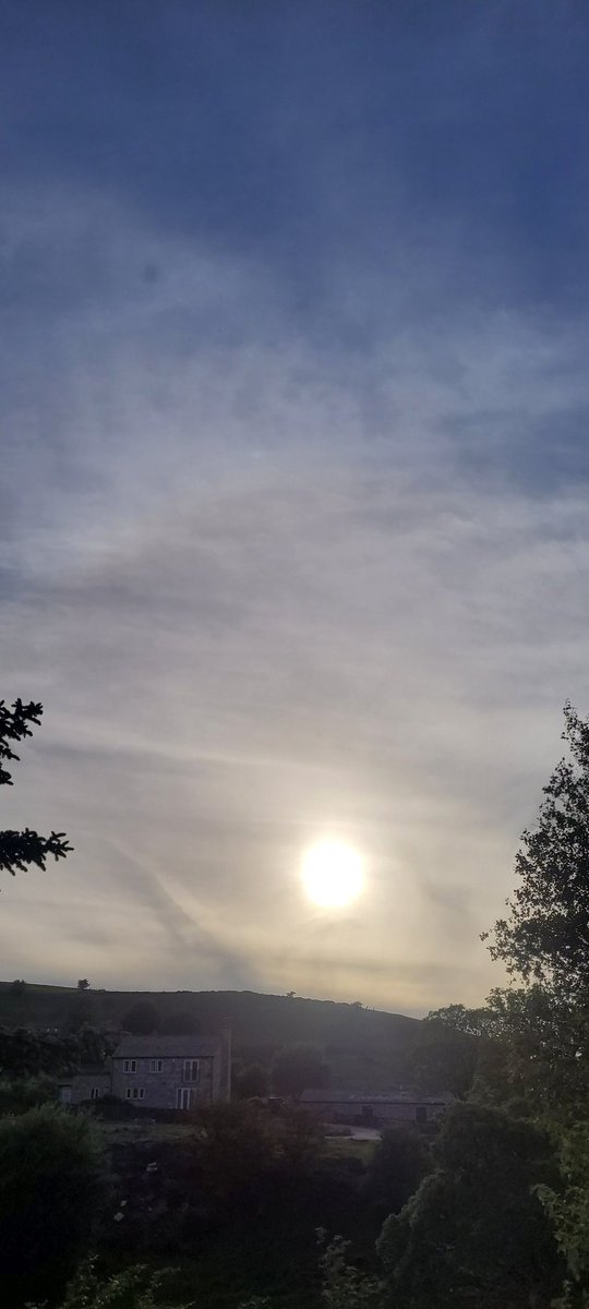 Well, as predicted after yesterday's sprayfest, rain all night and awake to a man made grey/white, featureless blanket pissing shizzle down, not even real rain anymore. Nice dosing of aluminium and chemicals for the birds and the bees and the people and their food chain. #evil