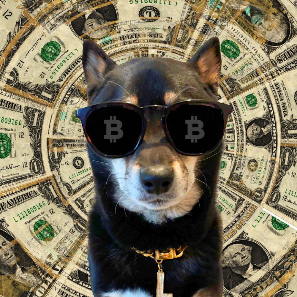 0x0GChris's tweet photo. Ethereum is massively out performing BTC

You know what time it is? It is Altseason O’clock. 

Those low caps memes with honest devs will print insane gains

I have a Doggo that is still incredibly low 
Ticker: $LULU
Ca: vimTPz9gm5TJDsyeW9Fht9JBC2PHyEW6cbZ8f7dRGFM https://t.co/6RQkWP5uVY