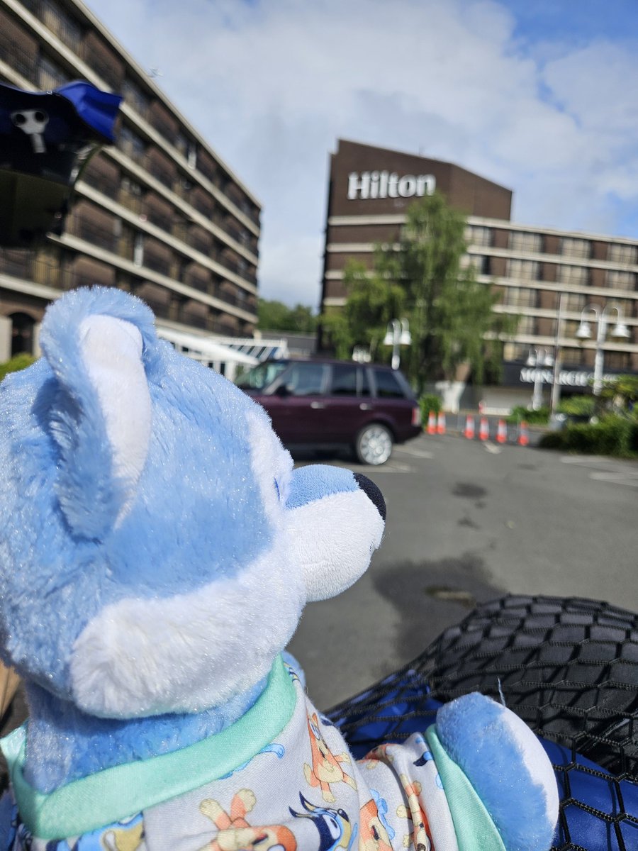And with that ConFuzzled 2025 is over, but we will be back soon #cfz2025 #isitCFzyet